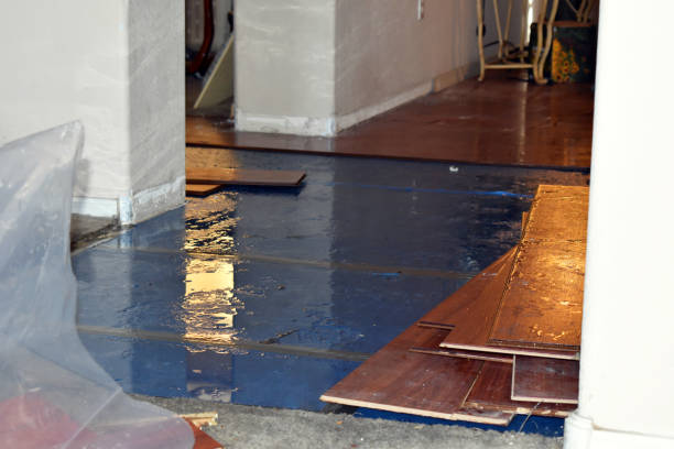 Professional Sewage Cleanup technician working in Danbury, CT