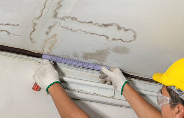 Reliable Sewage Cleanup contractor in Danbury, CT by Water Damage Irwin
